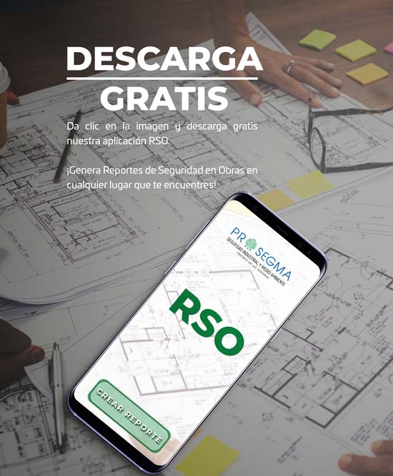 PROSEGMA - RSO - APP