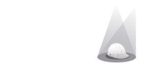 Logo - PROSEGMA Entertainment - Risk Assessment